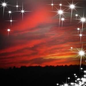 Meet your Posher, Judy